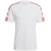 Adidas Teamwear T-särk meestele Squadra 21 Jersey Short Sleeve valge GN5725 suurus S