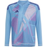 Adidas Teamwear T-särk Bramkarska lastele Tiro 24 Competition Long Sleeve Goalkeeper sinine IN0434 suurus 152cm