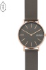 Skagen naiste käekell Signatur SKW2794, 38mm, hall