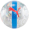 Puma jalgpall Cup Ball hõbedane 84075 01 3