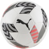 Puma jalgpall King Ball valge-hall 83997 02 4