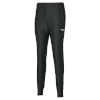 Mizuno treeningpüksid Training Pant tumehall - suurus L