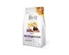 Brit toit närilistele Animals Rat Complete - dry food for rat - 300 g