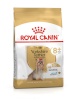 Royal Canin kuivtoit koerale Yorkshire Terrier 8+ Poultry, 1,5kg