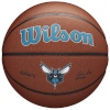 Wilson korvpall Basketball Team Alliance Charlotte Hornets Ball WTB3100XBCHA 7