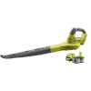 Ryobi lehepuhur RBL1820S-40F ONE+ Garden Blower, 18V, roheline/must