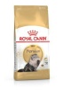 Royal Canin kuivtoit kassile Persian Adult Maize, Poultry, 4kg 