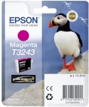 Epson tindikassett T3243 magneta