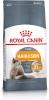 Royal Canin kuivtoit kassile Hair & Skin Care, 0,4kg