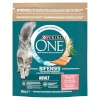 Purina Nestle kuivtoit kassile ONE Bifensis Adult Salmon, 800g