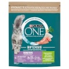 Purina Nestle kuivtoit kassile ONE Bifensis Adult Sensitive, 800g