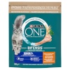 Purina Nestle kuivtoit kassile ONE Bifensis Senior 7+, 800g