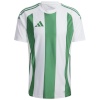 Adidas Teamwear T-särk meestele Striped 24 Jersey valge-roheline IW2148 suurus S