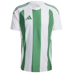 Adidas Teamwear T-särk meestele Striped 24 Jersey valge-roheline IW2148 suurus S