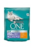 Purina Nestle kuivtoit kassile ONE Adult Coat & Hairball Rich in Chicken, 800g 