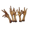 Lucze maius koerale Dried Chicken Feet, 50tk