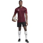 Adidas Teamwear T-särk meestele Tabela 23 Jersey bordoopunane IB4928 suurus S