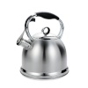 Maestro teekann MR-1334 Non-Electric Kettle, 2,9L, roostevaba teras