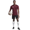 Adidas Teamwear T-särk meestele Tabela 23 Jersey bordoopunane IB4928 suurus L