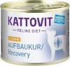 Kattovit kassitoit Feline Diet Aufbaukur Recovery, 185g