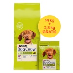 Purina Nestle kuivtoit koerale Dog Chow Adult Lamb, 14 + 2,5kg