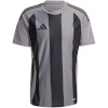 Adidas Teamwear T-särk meestele Striped 24 Jersey hall-must IW2145 suurus S