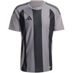 Adidas Teamwear T-särk meestele Striped 24 Jersey hall-must IW2145 suurus S