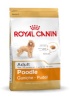 Royal Canin kuivtoit koerale Poodle Adult 1,5kg