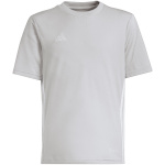 Adidas Teamwear T-särk lastele Tabela 23 Jersey hall IA9153 suurus 164cm