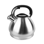 Feel-Maestro veekeetja MR-1319 Kettle, 4,3L, roostevaba teras