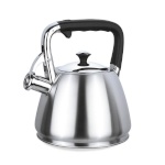 Feel-Maestro veekeetja MR-1327 Kettle, 3L, roostevaba teras