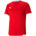 Puma T-särk meestele Teamliga Jersey punane 704917 01 suurus S