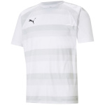 Puma T-särk meestele Teamvision Jersey valge 704921 04 suurus S