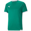 Puma T-särk meestele Teamliga Jersey roheline 704917 05 suurus L