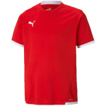 Puma T-särk lastele Teamliga Jersey punane 704925 01 suurus 128cm