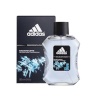 Adidas Ice Dive EDT 100ml, meestele