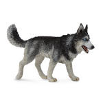 Collecta Siberi Husky, (L), 88707