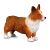 Collecta Walesi Corgi, (M), 88082