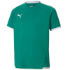 Puma T-särk lastele Teamliga Jersey roheline 704925 05 suurus 116cm