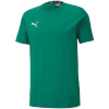 Puma T-särk meestele Teamgoal 23 Casuals Tee roheline 656578 05 suurus L