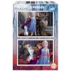 Frozen 2 pusle Komplekt Believe 100-osaline 40x 28cm