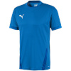 Puma T-särk meestele Teamgoal 23 Jersey sinine 704171 02 suurus S