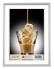 Zep pildiraam Basic hõbedane 20x30 Aluminium Frame AL1S4