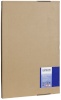 Epson fotopaber Standard Proofing Paper A2, 50 lk, 205g S045006