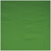 Walimex taust Cloth Background 2,85x6m, roheline