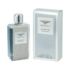 Bentley meeste parfüüm EDT Momentum Unlimited (100ml)