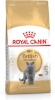 Royal Canin kuivtoit kassile British Shorthair Adult, 400g 