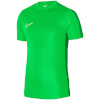 Nike Team T-särk meestele DF Academy 23 SS roheline DR1336 329 suurus S