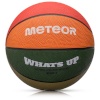 Meteor korvpall What's up 7 16800 basketball uniw