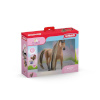 Schleich mängufiguur Piękny Stallion Achał Tekkiner Sofias Beauties